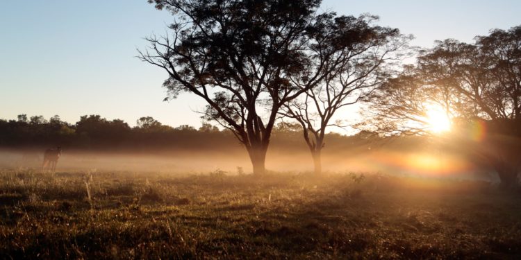 Pronostican miércoles caluroso y un nuevo frente frío desde la noche Pronostican miércoles caluroso y un nuevo frente frío desde la noche