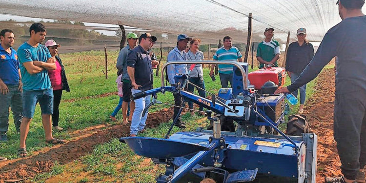 Agricultores obtienen arraigo mediante apoyo productivo asociado a nuevo tramo vial
