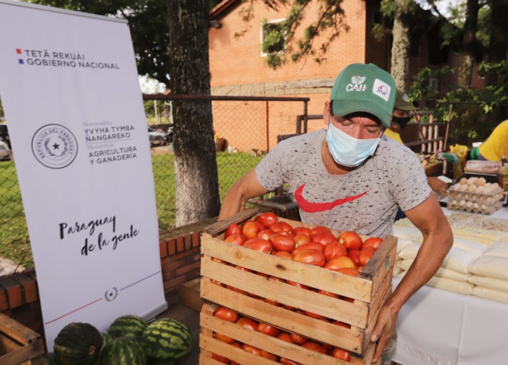 Productores se encuentran conformes con el precio de venta en finca del tomate