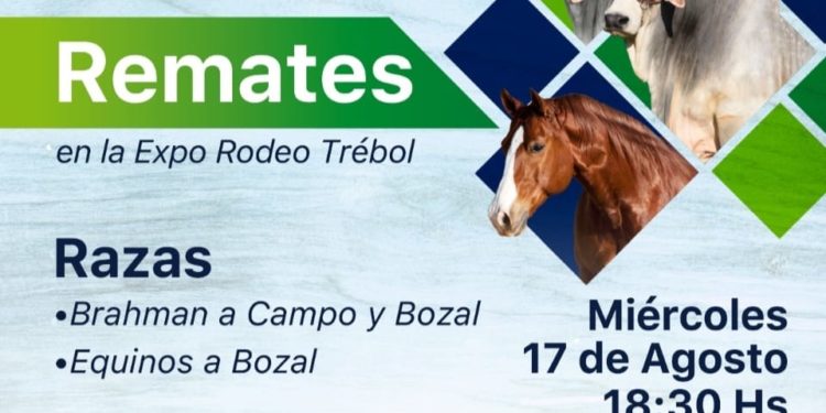 RCCTV trasmitirá en vivo los remates de las razas Brahman  y equinos en la Expo Rodeo Trébol