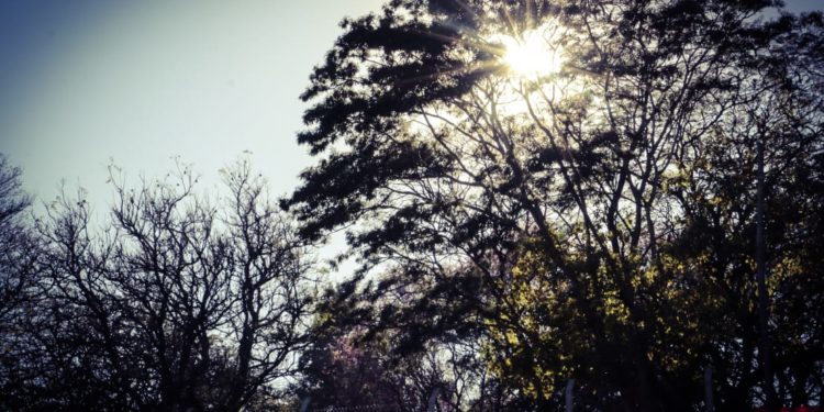 Mañana fría con tarde fresca a cálida para este sábado