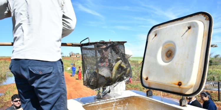 Itaipú cierra entrega de peces a comunidades indígenas de Alto Paraná