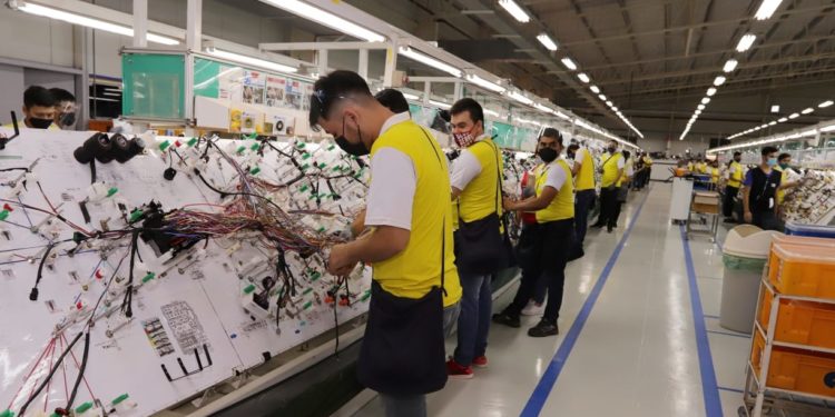 Esta semana el sector privado presentó 870 vacancias laborales Esta semana el sector privado presentó 870 vacancias laborales