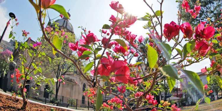 Clima caluroso continúa este jueves y durante el resto de la semana
