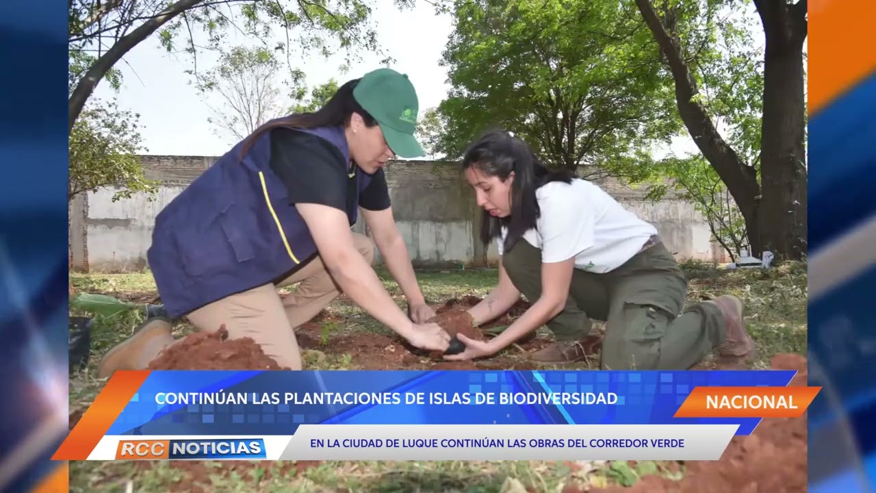 Continúan las plantaciones de islas de biodiversidad del corredor verde del AMA.