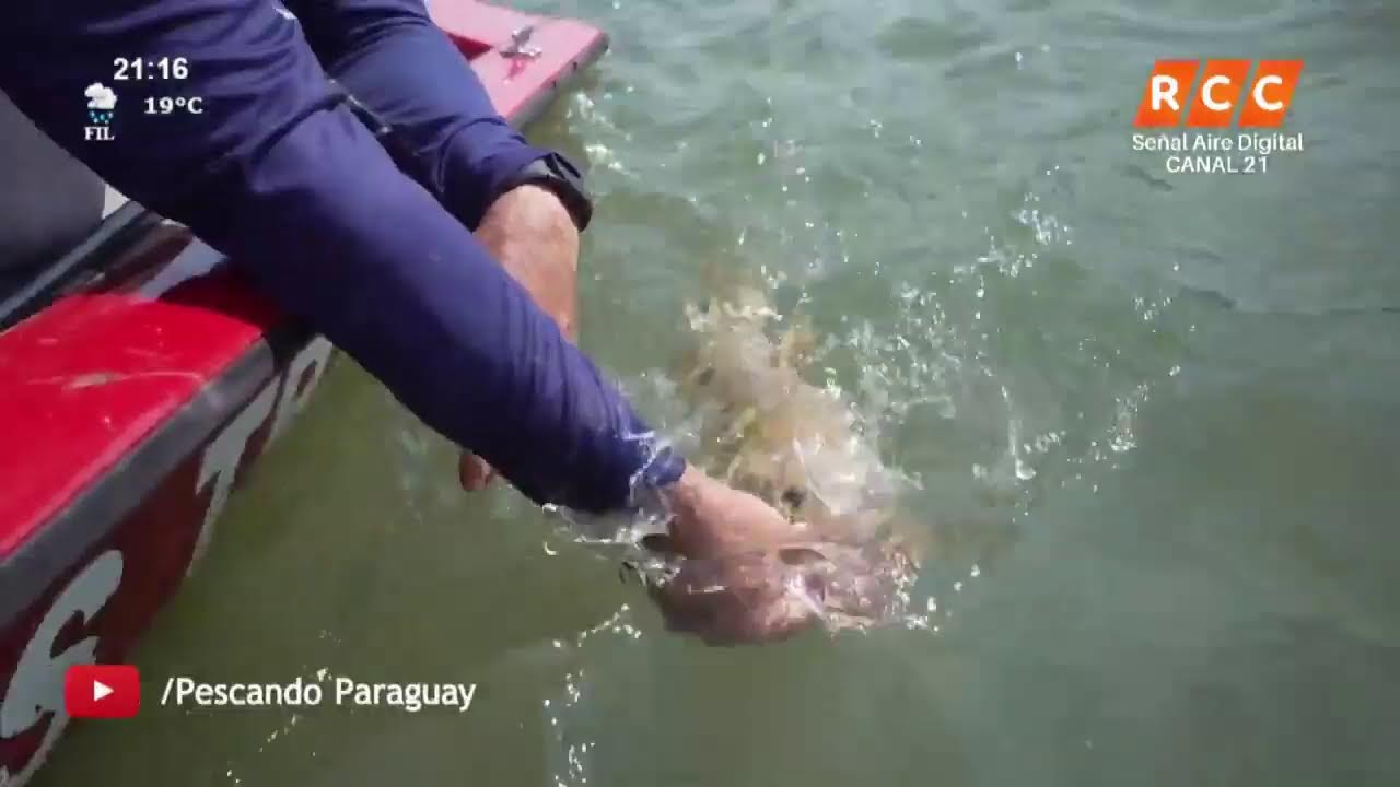 Pescando Paraguay