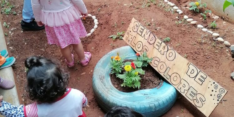 Fomentan la enseñanza en niños acerca del cultivo y cuidado del medio ambiente Fomentan la enseñanza en niños acerca del cultivo y cuidado del medio ambiente