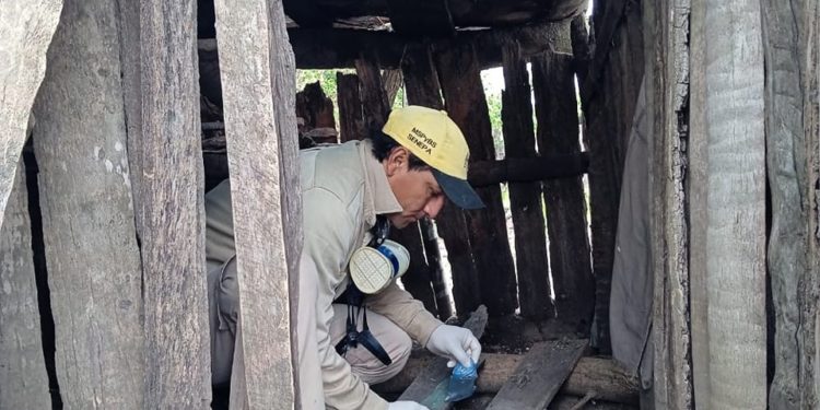 SENEPA realizó verificación entomológica para evitar enfermedades vectoriales en el Chaco