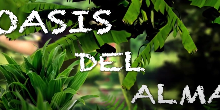 «Oasis del Alma» capsulas de reflexión en RCC TV