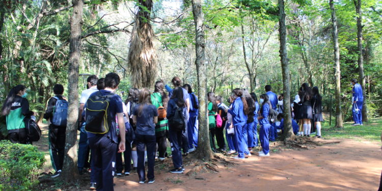 Niños y niñas en edad escolar participan de talleres de educación ambiental