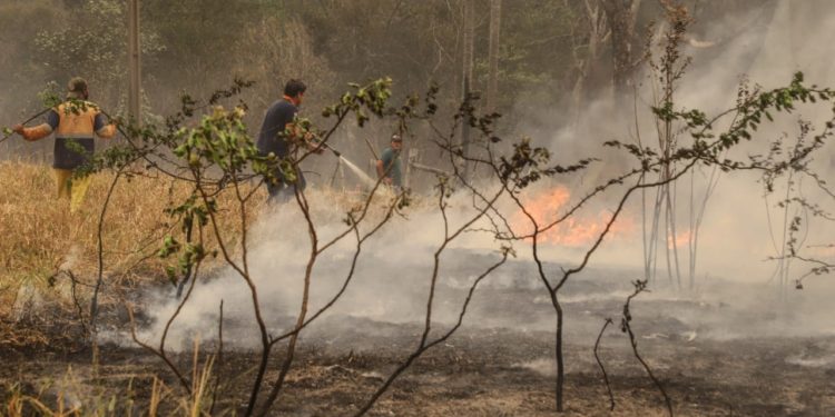 Infona suspende autorización de permisos de quema por condiciones de sequía en todo el país Infona suspende autorización de permisos de quema por condiciones de sequía en todo el país
