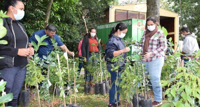Productores de Central y Cordillera reciben capacitación para fortalecer producción sostenible Productores de Central y Cordillera reciben capacitación para fortalecer producción sostenible