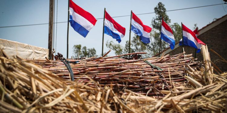 Incremento de biocombustibles, una apuesta del Paraguay para generar un impacto positivo en el clima global Incremento de biocombustibles, una apuesta del Paraguay para generar un impacto positivo en el clima global