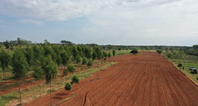 Iniciaron trabajos de mecanización de suelo para fortalecer la agricultura familiar Iniciaron trabajos de mecanización de suelo para fortalecer la agricultura familiar