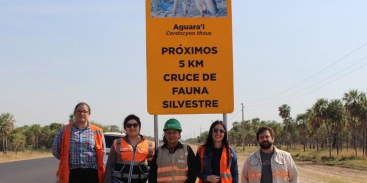 Identificaron zonas sensibles para evitar atropello de animales en la ruta PY05 Identificaron zonas sensibles para evitar atropello de animales en la ruta PY05