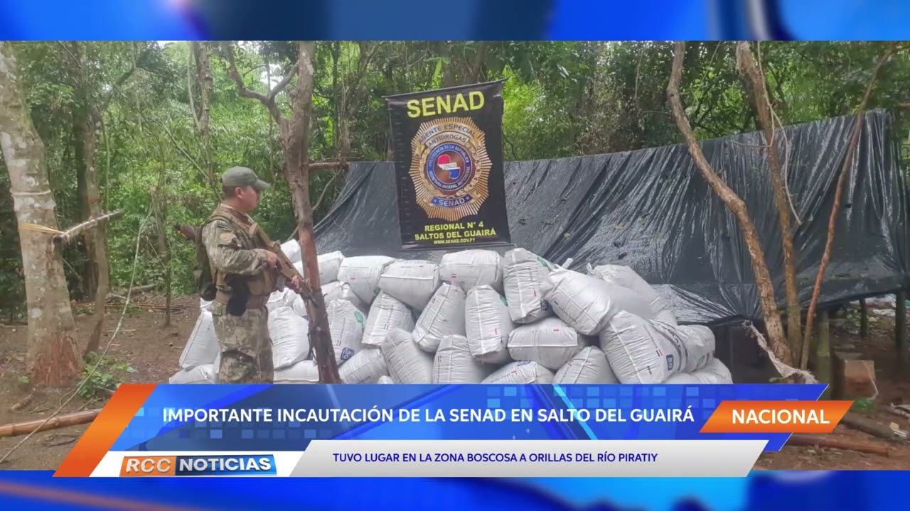 Senad incautó más de 1.200 kilos de marihuana en Saltos del Guairá.