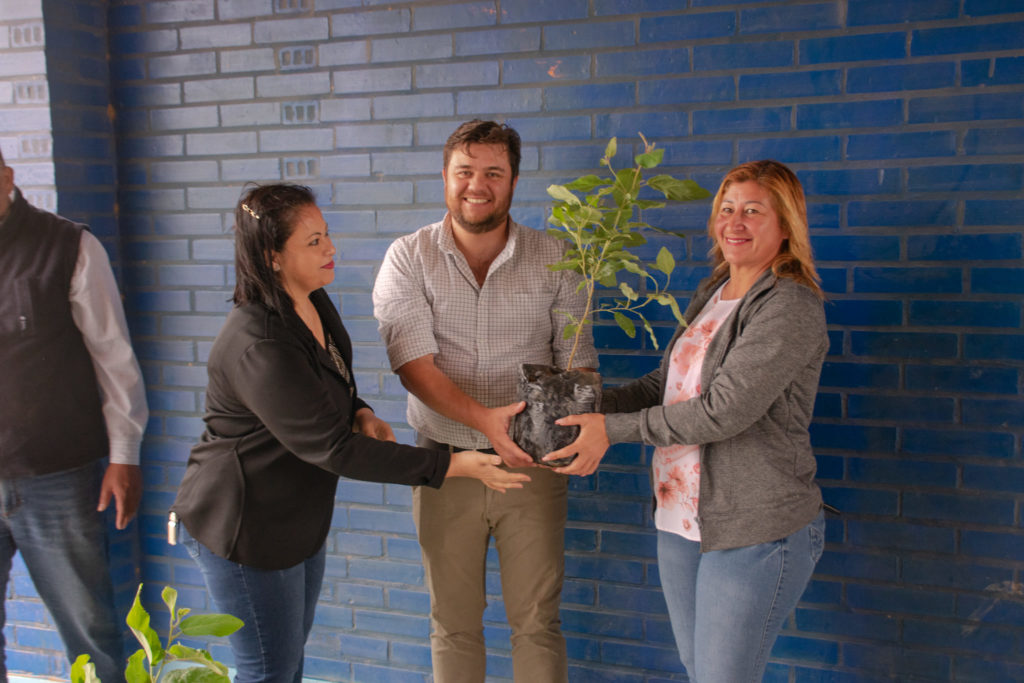 Municipalidad de Mariscal Estigarribia entregó plantines para arborización en los barrios