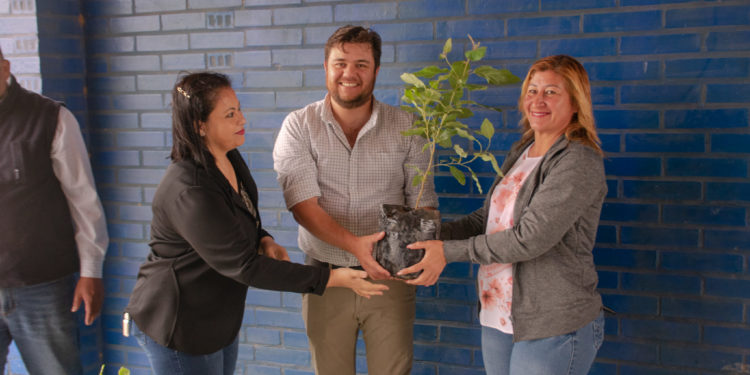 Municipalidad de Mariscal Estigarribia entregó plantines para arborización en los barrios