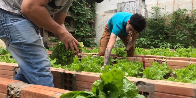 Internos de Tacumbú aprenden a elaborar deliciosos platos a base de soja