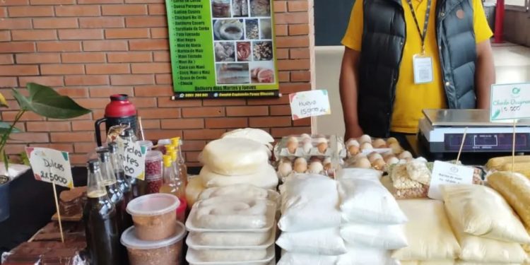 Productores realizan hoy la feria agropecuaria «De Raíz» en el Shopping Multiplaza