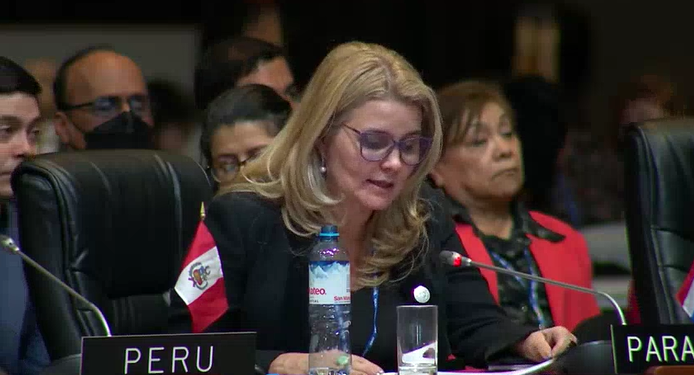 Una vez más el Paraguay deja una firme postura de respeto a la vida y da familia en la OEA