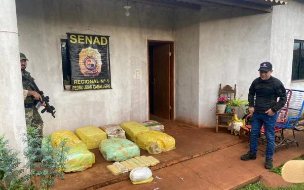 SENAD incauta más de 300 kilos de marihuana en Amambay