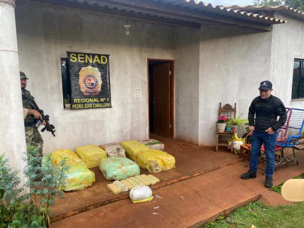 SENAD incauta más de 300 kilos de marihuana en Amambay