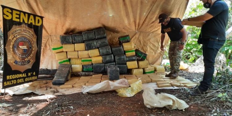 Senad incautó más de 1.200 kilos de marihuana en Saltos del Guairá