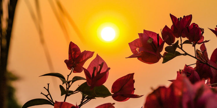 Meteorología pronostica altas temperaturas para los próximos días