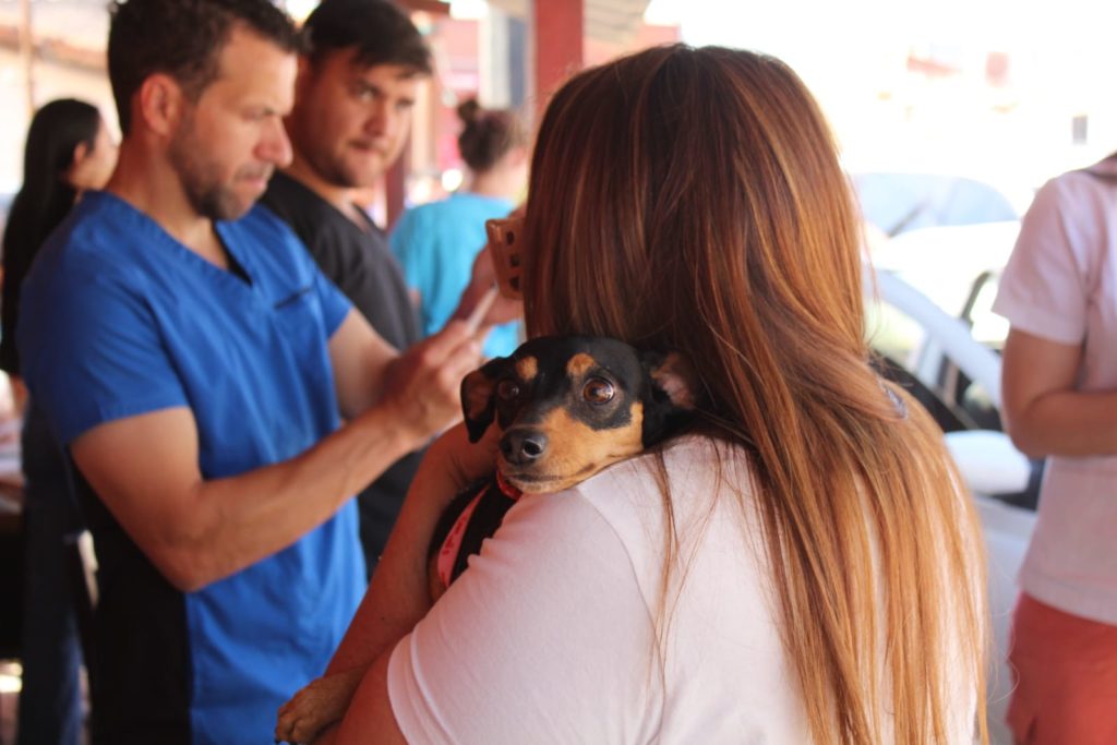 Numerosas mascotas fueron vacunadas contra la rabia y desparasitadas en el barrio San Pablo