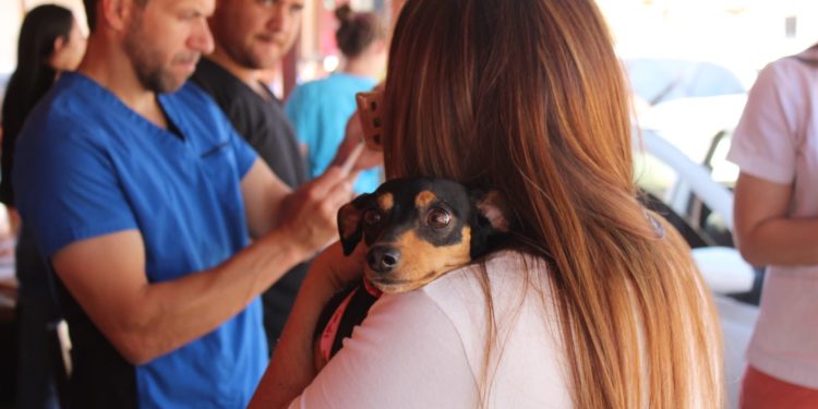 Numerosas mascotas fueron vacunadas contra la rabia y desparasitadas en el barrio San Pablo