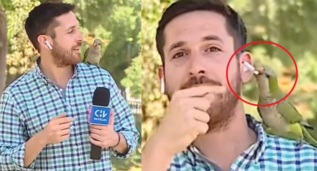 ¡Insólito robo de la semana!