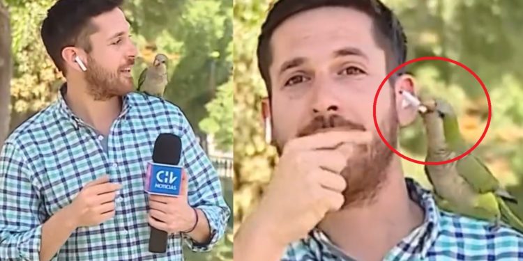 ¡Insólito robo de la semana! ¡Insólito robo de la semana!