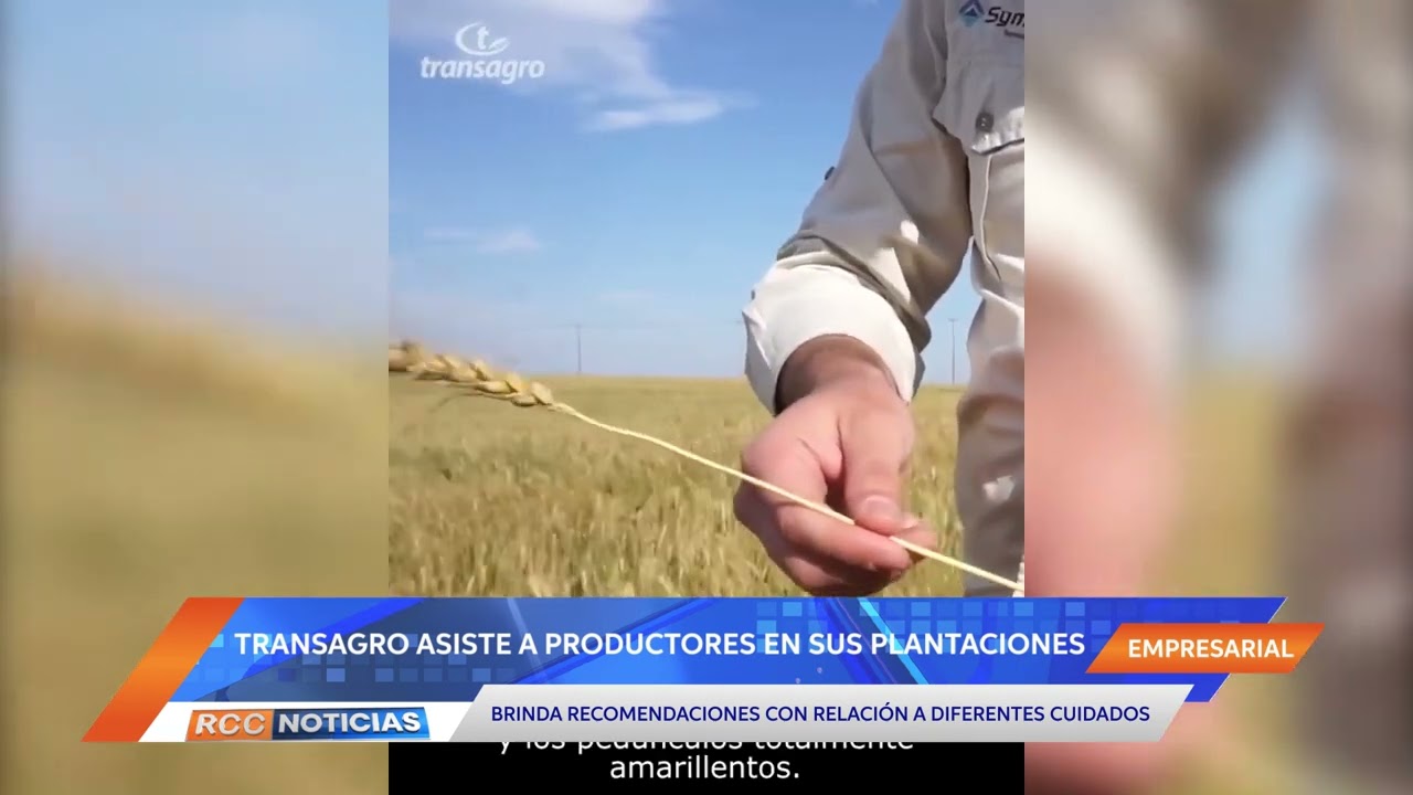 Transagro se distingue brindando recomendaciones a productores para la preservación de plantaciones