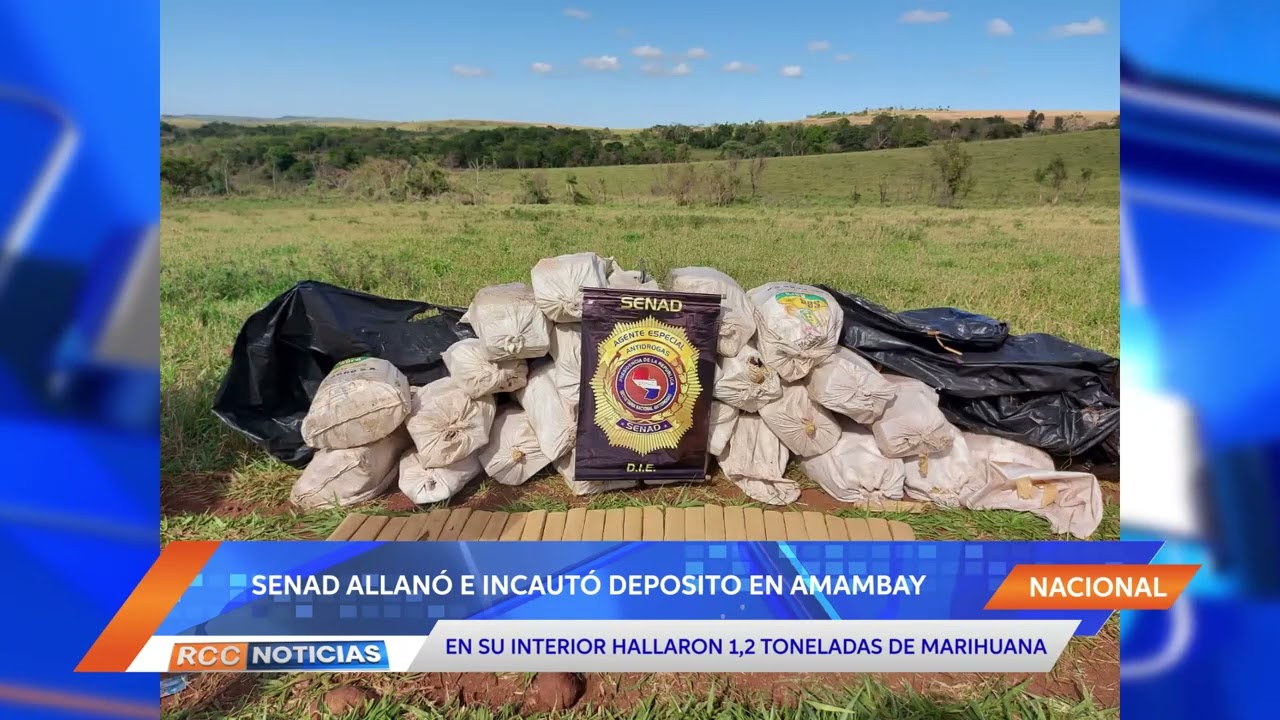 Allanaron e incautaron un depósito narco con más de 1,2 toneladas de marihuana en Amambay