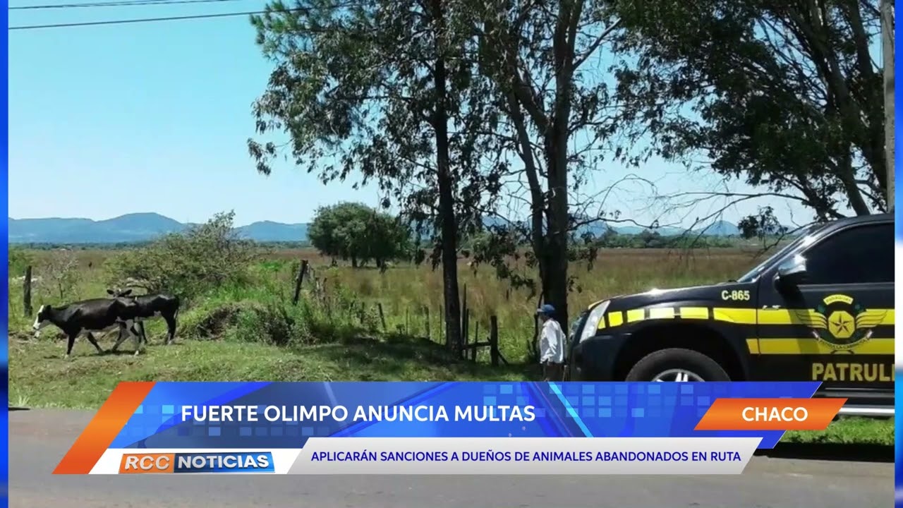 Fuerte Olimpo anunció que multarán a propietarios de animales sueltos en la vía pública