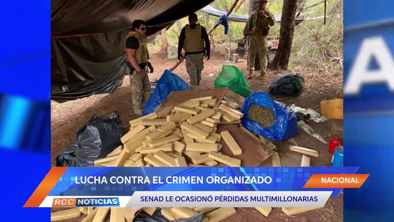 SENAD contrarrestó con pérdidas multimillonarias al crimen organizado en lo que va del año.