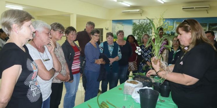 Desarrollaron capacitaciones sobre el cultivo y manejo de Orquídeas Desarrollaron capacitaciones sobre el cultivo y manejo de Orquídeas