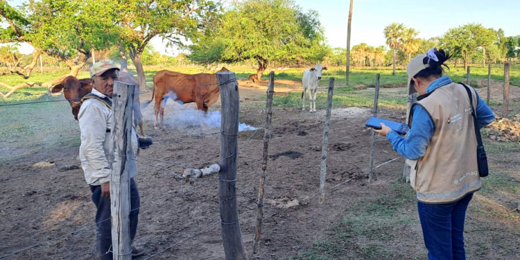 Censo Agropecuario abarca los tres departamentos de la región occidental