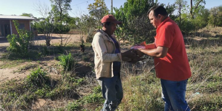 Plan Agrícola ya llegó al 95% de ejecución en el departamento de Boquerón