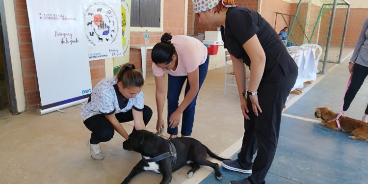 Municipalidad de Filadelfia impulsó jornada de servicios integrales gratuitos para mascotas Municipalidad de Filadelfia impulsó jornada de servicios integrales gratuitos para mascotas
