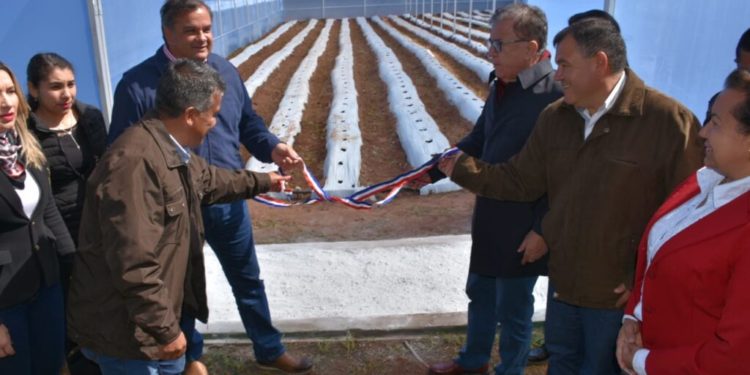 Gobierno entregó moderno invernadero e insumos para centro de educación agroecológica