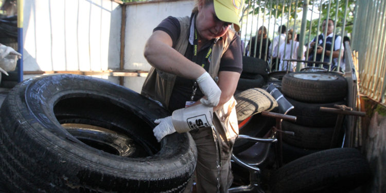 Salud advierte aumento de casos de dengue y chikungunya