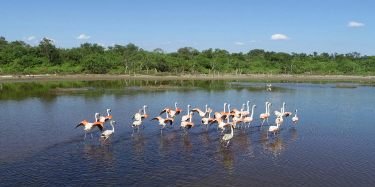 Ambiente fresco a caluroso para el resto de la semana