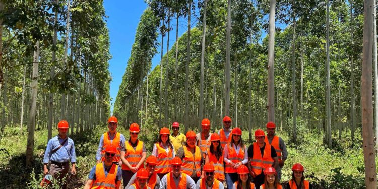 Cerraron jornada de plantaciones forestales con miras al desarrollo de finanzas sostenibles