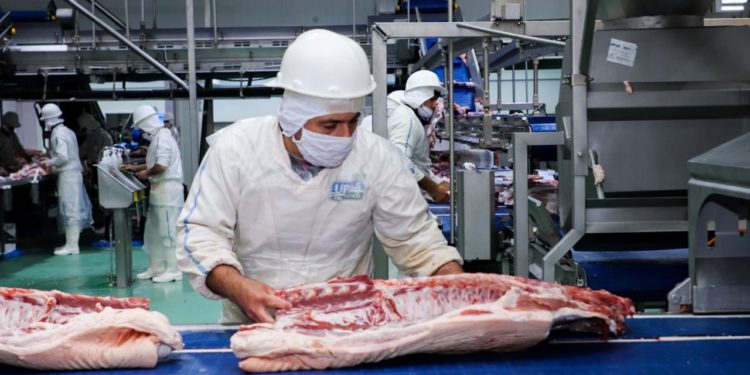 Carne porcina de Paraguay ingresará al mercado de Taiwán