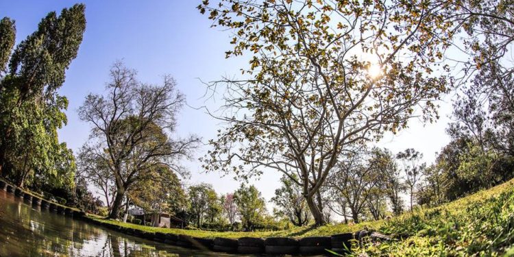 Viernes con temperaturas máximas de 37°C y sin lluvias