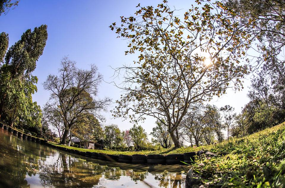 Viernes con temperaturas máximas de 37°C y sin lluvias