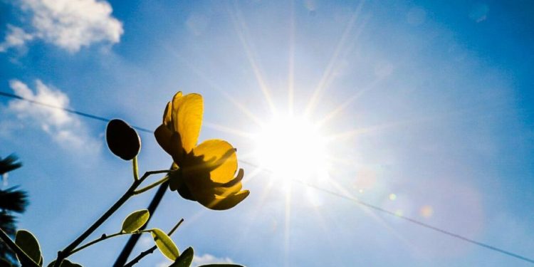 Este martes arranca con una jornada fresca a calurosa con vientos variables