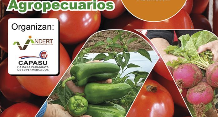 Indert y Capasu preparan Rueda de Negocios para insertar a colonos al circuito comercial Indert y Capasu preparan Rueda de Negocios para insertar a colonos al circuito comercial